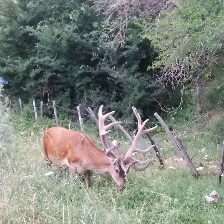 Apartamento Roma Alfedena